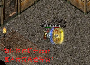 如何快速提升cqsf复古传奇角色等级? 如何快速提升cqsf复古传奇角色等级?