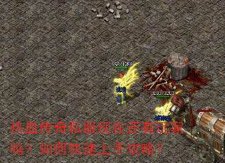 热血传奇私服现在还有玩家吗?如何快速上手攻略? 热血传奇私服现在还有玩家吗?如何快速上手攻略?