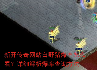 新开传奇网站白野猪爆率怎么看?详细解析爆率查询方法 新开传奇网站白野猪爆率怎么看?详细解析爆率查询方法