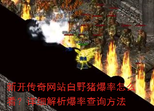 新开传奇网站白野猪爆率怎么看?详细解析爆率查询方法 新开传奇网站白野猪爆率怎么看?详细解析爆率查询方法