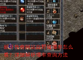 新开传奇网站白野猪爆率怎么看?详细解析爆率查询方法 新开传奇网站白野猪爆率怎么看?详细解析爆率查询方法