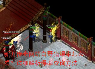新开传奇网站白野猪爆率怎么看?详细解析爆率查询方法 新开传奇网站白野猪爆率怎么看?详细解析爆率查询方法