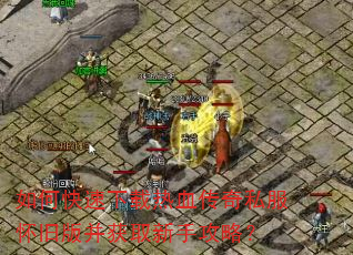 如何快速下载热血传奇私服怀旧版并获取新手攻略? 如何快速下载热血传奇私服怀旧版并获取新手攻略?