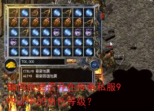 如何快速提升在传奇私服999sf中的角色等级? 如何快速提升在传奇私服999sf中的角色等级?