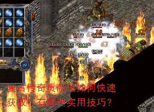 复古传奇贡献值如何快速获取?有哪些实用技巧? 复古传奇贡献值如何快速获取?有哪些实用技巧?
