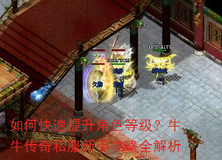 如何快速提升角色等级?牛牛传奇私服新手攻略全解析 如何快速提升角色等级?牛牛传奇私服新手攻略全解析