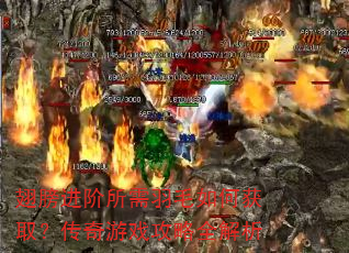 翅膀进阶所需羽毛如何获取?传奇游戏攻略全解析 翅膀进阶所需羽毛如何获取?传奇游戏攻略全解析