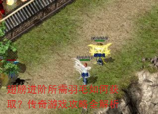 翅膀进阶所需羽毛如何获取?传奇游戏攻略全解析 翅膀进阶所需羽毛如何获取?传奇游戏攻略全解析