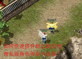 如何快速提升新出网页传奇私服角色等级与装备? 如何快速提升新出网页传奇私服角色等级与装备?