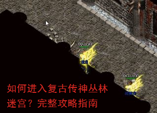 ��ν��븴�Ŵ�������Թ�����������ָ��
