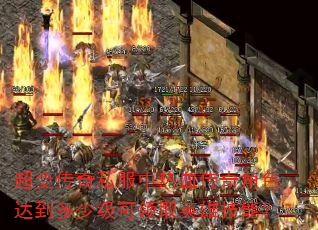 ���䴫��˽������Ѫ�����ɫ�ﵽ���ټ�����ȡӢ�ۼ��ܣ�