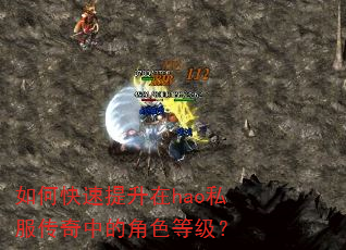 如何快速提升在hao私服传奇中的角色等级? 如何快速提升在hao私服传奇中的角色等级?