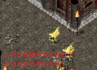 如何快速提升合击传奇手机版角色战力与等级? 如何快速提升合击传奇手机版角色战力与等级?