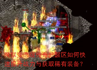 ħ����̬�洫���������ο�������ս�����ȡϡ��װ����