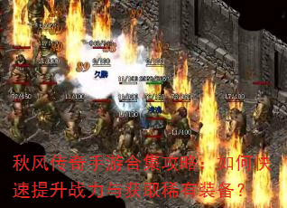 ��紫�����κϼ����ԣ���ο�������ս�����ȡϡ��װ����