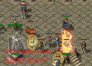 ����˽��������ο����뿪���ִ壿