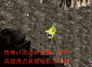 传奇sf泡点升级慢?如何高效泡点获取经验与装备? 传奇sf泡点升级慢?如何高效泡点获取经验与装备?