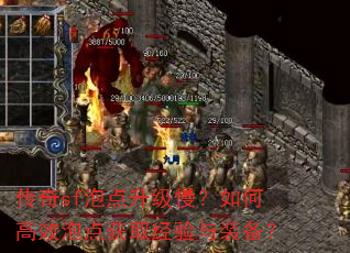 传奇sf泡点升级慢?如何高效泡点获取经验与装备? 传奇sf泡点升级慢?如何高效泡点获取经验与装备?