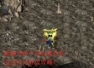 新服传奇手游有哪些职业选择与升级攻略? 新服传奇手游有哪些职业选择与升级攻略?