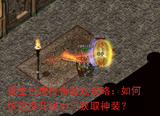重生白虎传奇游戏攻略:如何快速提升战力与获取神装? 重生白虎传奇游戏攻略:如何快速提升战力与获取神装?