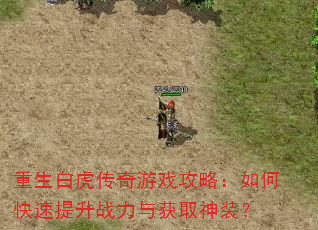 重生白虎传奇游戏攻略:如何快速提升战力与获取神装? 重生白虎传奇游戏攻略:如何快速提升战力与获取神装?