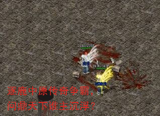 逐鹿中原传奇争霸,问鼎天下谁主沉浮? 逐鹿中原传奇争霸,问鼎天下谁主沉浮?