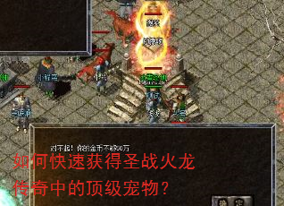 如何快速获得圣战火龙传奇中的顶级宠物? 如何快速获得圣战火龙传奇中的顶级宠物?
