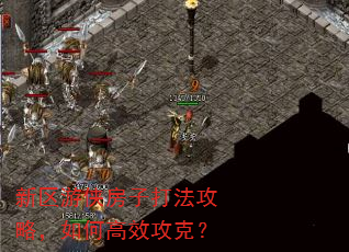 新区游侠房子打法攻略,如何高效攻克? 新区游侠房子打法攻略,如何高效攻克?