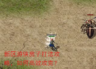 新区游侠房子打法攻略,如何高效攻克?