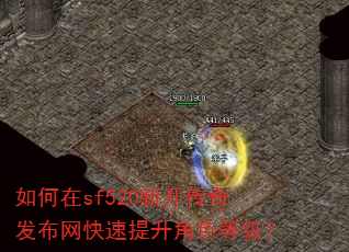 如何在sf520新开传奇发布网快速提升角色等级? 如何在sf520新开传奇发布网快速提升角色等级?