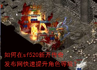 如何在sf520新开传奇发布网快速提升角色等级? 如何在sf520新开传奇发布网快速提升角色等级?