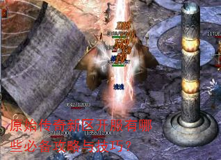 ԭʼ����������������Щ�ر������뼼�ɣ�