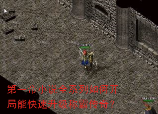 第一帝小说全系列如何开局能快速升级称霸传奇? 第一帝小说全系列如何开局能快速升级称霸传奇?