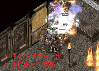 ����ڴ�������SF�п���������ɫ�ȼ���