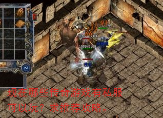 现在哪些传奇游戏有私服可以玩?求推荐攻略。 现在哪些传奇游戏有私服可以玩?求推荐攻略。