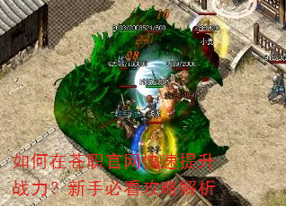 如何在苍职官网快速提升战力?新手必看攻略解析 如何在苍职官网快速提升战力?新手必看攻略解析
