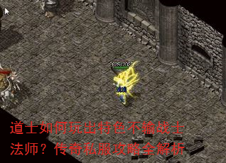道士如何玩出特色不输战士法师?传奇私服攻略全解析 道士如何玩出特色不输战士法师?传奇私服攻略全解析
