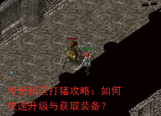 传奇新区打猪攻略:如何快速升级与获取装备? 传奇新区打猪攻略:如何快速升级与获取装备?