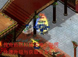 传奇新区打猪攻略:如何快速升级与获取装备? 传奇新区打猪攻略:如何快速升级与获取装备?