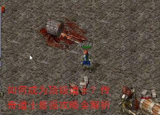 如何成为顶级道士?传奇道士最强攻略全解析 如何成为顶级道士?传奇道士最强攻略全解析