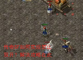����SF���ʵ�ֽ�ֹ˫������������ڴ�