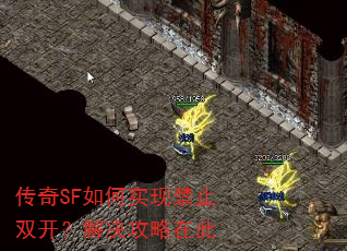 ����SF���ʵ�ֽ�ֹ˫������������ڴ�