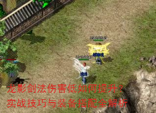 龙影剑法伤害低如何提升?实战技巧与装备搭配全解析 龙影剑法伤害低如何提升?实战技巧与装备搭配全解析