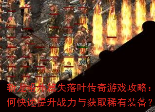 ն������ƪʧ��Ҷ������Ϸ���ԣ���ο�������ս�����ȡϡ��װ����
