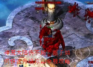 神魔大陆伤不起?新手如何快速升级称霸全服攻略 神魔大陆伤不起?新手如何快速升级称霸全服攻略